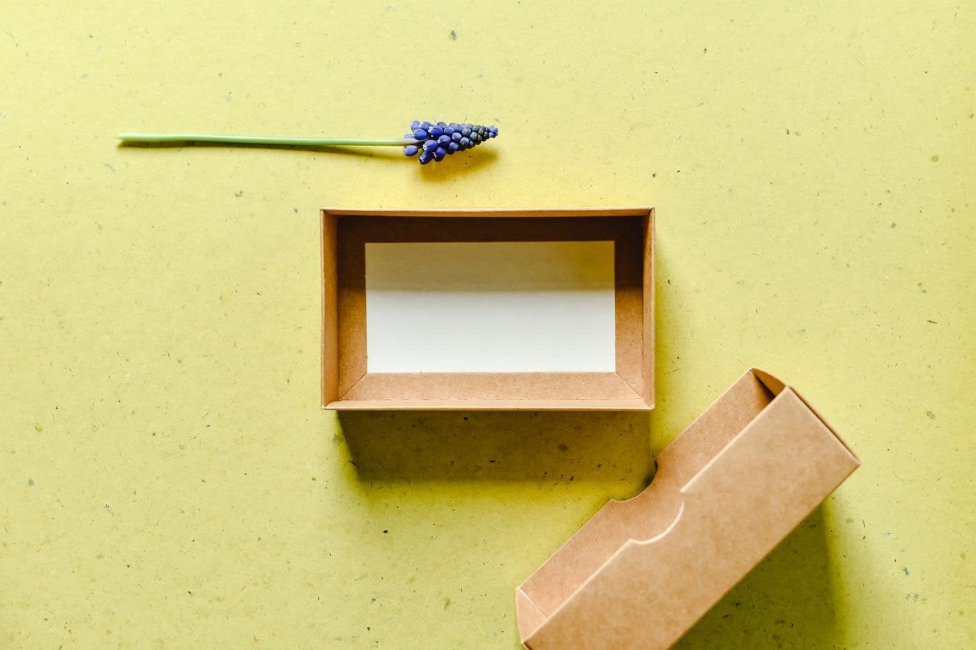 Kraft paperboard sleeve and tray packaging